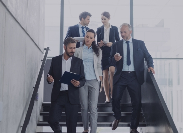 contabilidade digital